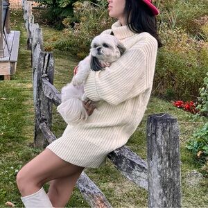 Cozy Cream Turtleneck Dress